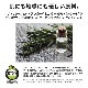 �����ѡ��ե����ȥ��󥫡� �ԥ奢���������륽���� �ץ饹 502ml �������˥å������� �ܥǥ��������� ����󥸥� ���� �ᥤ����Ȥ� ������ �Ф��� �����ס� ����������  ����󥸥� �������ӥ� �ϥ�ɥ����� �ܥǥ����� �����ȥɥ� ������ �