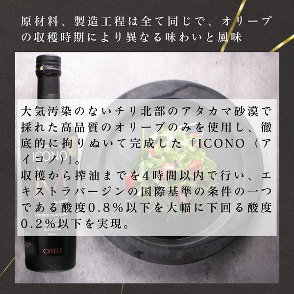 �������ȥ�С����� ���꡼�֥����� �������� ICONO olive oil FRUITY SPICY 500ml �������ȥ�С����� ���꡼���� ���꡼�֥����� �������ȥ���������� Ĵ̣�� �ѥ� ����� ���ҡ����� �ɥ�å��� ���ѥ����� �ե롼�ƥ��� �͵� ���ե� �ץ쥼���