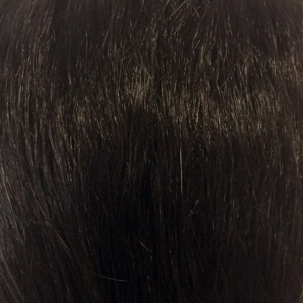 ��ѥ�ɥ����� ���� 5699 ���ޡ��ȥ��硼��(�ʥ�����֥�å�)  HOMME �ե륦���å� �����ץ� �����å� �����å� ���