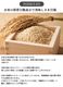 ����������Ź���᡼����ľ���ۥ饤���ե�å� ����� ����11kg ����������¢�� ��¢ ���� �ƤӤ� �饤�����ȥå��� ��ݤ ���� ���� ��¸ �ݴ� ����� ���٥����� AI��� ��ñ��� ��������å��� �͵� ���ե� �ץ쥼���