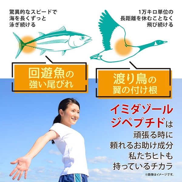 ߥ른ڥץǻ 180γ  ץ ߥ ڥץ ߥλ