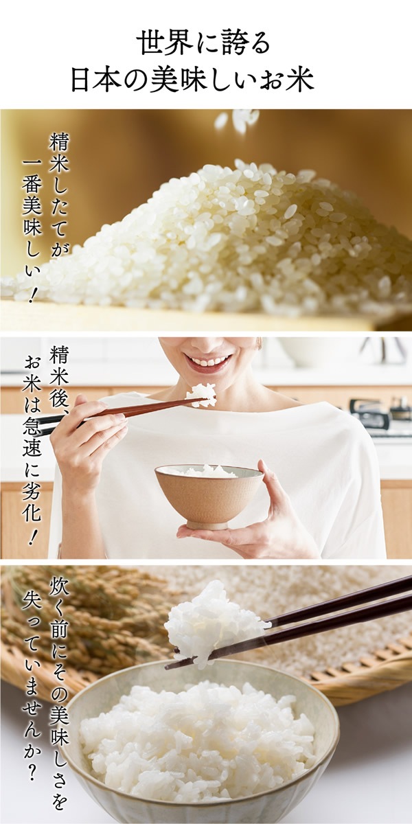 ����������Ź���᡼����ľ���ۥ饤���ե�å� �ȡ��� ����21kg ����������¢�� ��¢ ���� �ƤӤ� �饤�����ȥå��� ��ݤ ���� ���� ��¸ �ݴ� ����� ���٥����� AI��� ��ñ��� ��������å��� �͵� ���ե� �ץ쥼���