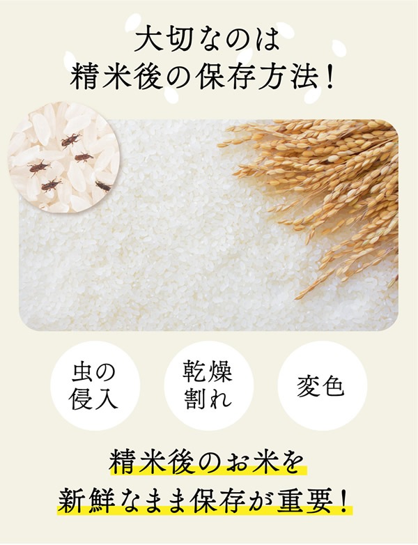 ����������Ź���᡼����ľ���ۥ饤���ե�å� �ȡ��� ����21kg ����������¢�� ��¢ ���� �ƤӤ� �饤�����ȥå��� ��ݤ ���� ���� ��¸ �ݴ� ����� ���٥����� AI��� ��ñ��� ��������å��� �͵� ���ե� �ץ쥼���