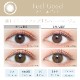 饳 ǡ С顼ǡ ʥ  ⥤ȥ졼٥UV 1Ȣ20 ٤ ٤ʤ ͥ 1DAY 14.5mm 顼󥿥 ץ