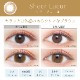 饳 ǡ С顼ǡ ʥ  ⥤ȥ졼٥UV 1Ȣ20 ٤ ٤ʤ ͥ 1DAY 14.5mm 顼󥿥 ץ