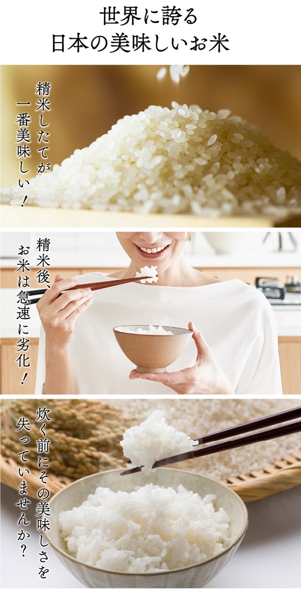 ��TV��������ۡ���������Ź���᡼����ľ���ۥ饤���ե�å� ���饦�� ����21kg ����������¢�� ��¢ ���� �ƤӤ� �饤�����ȥå��� ��ݤ ���� ���� ��¸ �ݴ� ����� ���٥����� AI��� ��ñ��� ��������å��� �͵� ���ե� �ץ쥼���