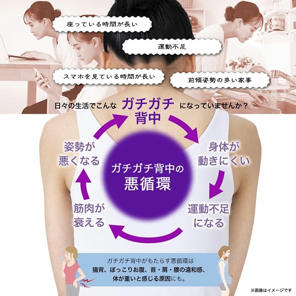 ��궳�ҥץ��ǥ塼�� Breast Top �ѡ��ե����ȥ����顼�������꡼�� ���ȥ�å� �ڥȥ� ������������ ��ư �ܥǥ����� ��ư��­ ���� �������륢�å� ���� ���åԥ� ���å���