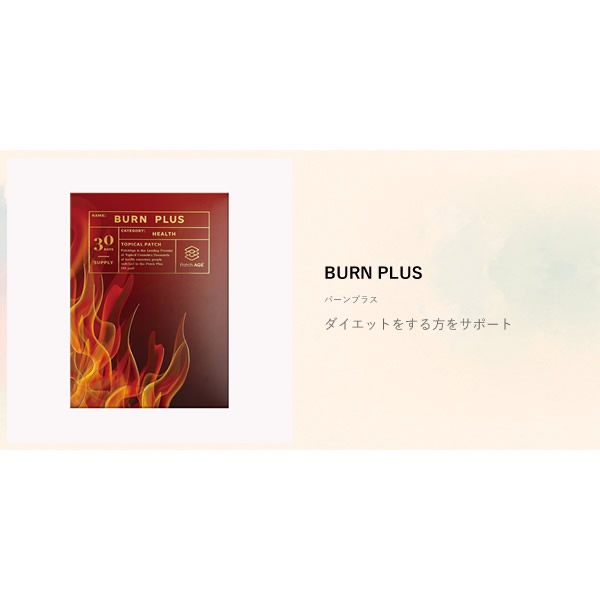 �ѥå������� �С���ץ饹 Ž�륳���� �ѥå��� Ž�� ���ץ���� PatchAge ������ ����ѥ���