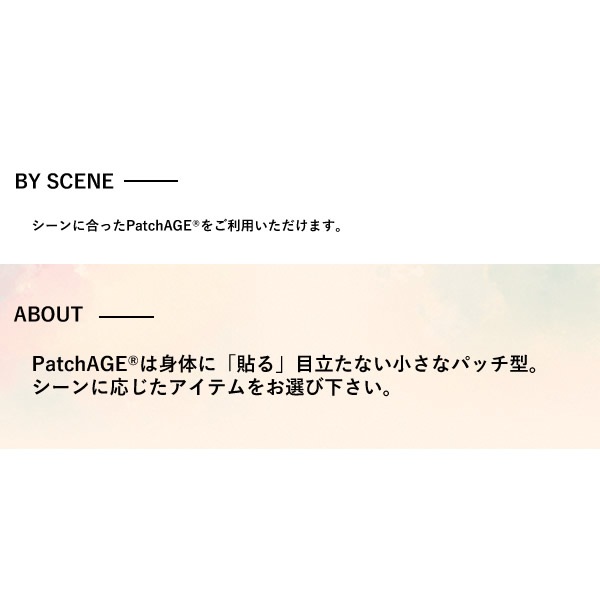 �ѥå������� �С���ץ饹 Ž�륳���� �ѥå��� Ž�� ���ץ���� PatchAge ������ ����ѥ���