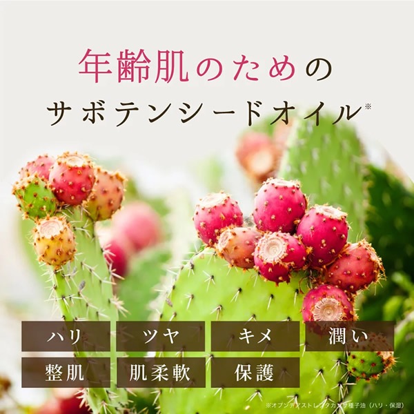 nopa �����륤����ե��˥å��󥰥��� ����ƥ��ޡ��� 80g �Υ� ���ƥ��꡼�� �����󥱥� ���ܥƥ� �͵� ������ �����륤���󥲥� �������󥰥��� ���ե� �ץ쥼���