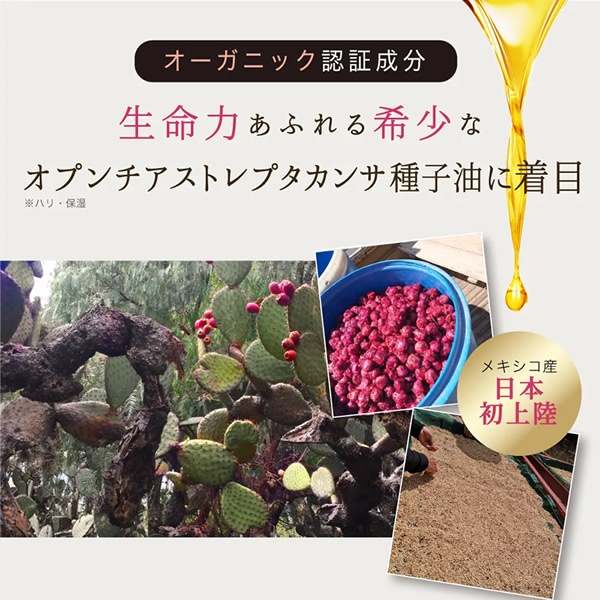 nopa �����륤����ե��˥å��󥰥��� ����ƥ��ޡ��� 80g �Υ� ���ƥ��꡼�� �����󥱥� ���ܥƥ� �͵� ������ �����륤���󥲥� �������󥰥��� ���ե� �ץ쥼���