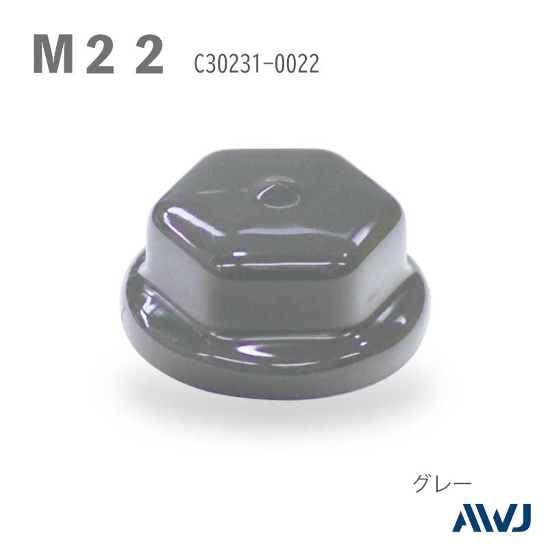 ハイテンションボルト・ワッシャー付キャップ Size M22 | PVCキャップ