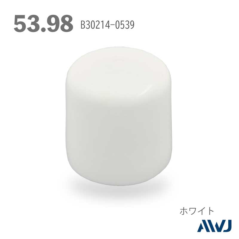 �ݥѥ��ץ���å�  Size  53.98