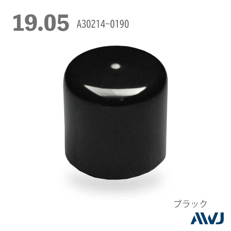 �ݥѥ��ץ���å�  Size  19.05