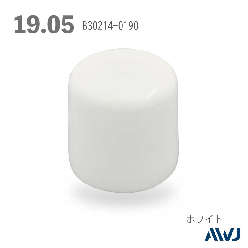 �ݥѥ��ץ���å�  Size  19.05