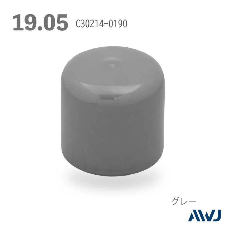 �ݥѥ��ץ���å�  Size  19.05