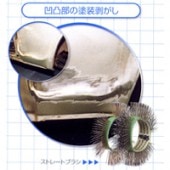 ���ȥ졼�ȥ֥饷�ʣ��������