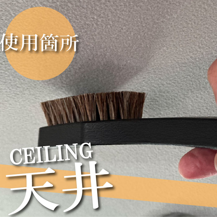 �����ȡ�ŷ��֥饷