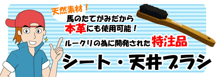 �����ȡ�ŷ��֥饷