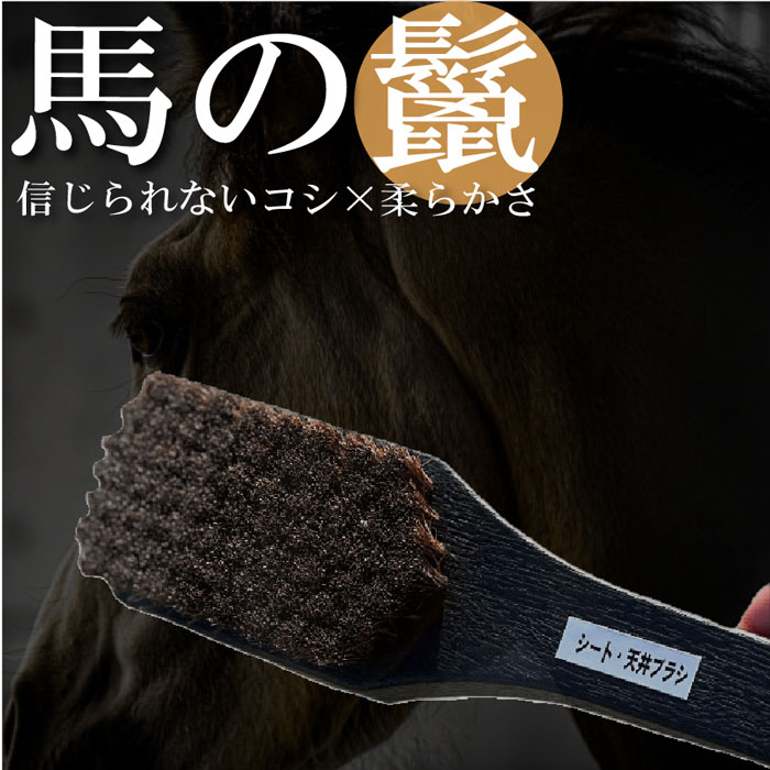 �����ȡ�ŷ��֥饷