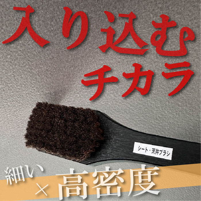 �����ȡ�ŷ��֥饷