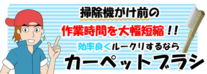 �����ڥåȥ֥饷