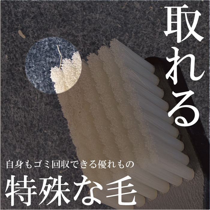 �����ڥåȥ֥饷