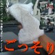 饹ޥå 4L