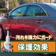 �ץ饹��󥳡��� 300cc