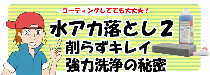 ��20�ĸ��ꥢ���ȥ�å����̲��ʡۿ奢����� 18L (�դΤ�)