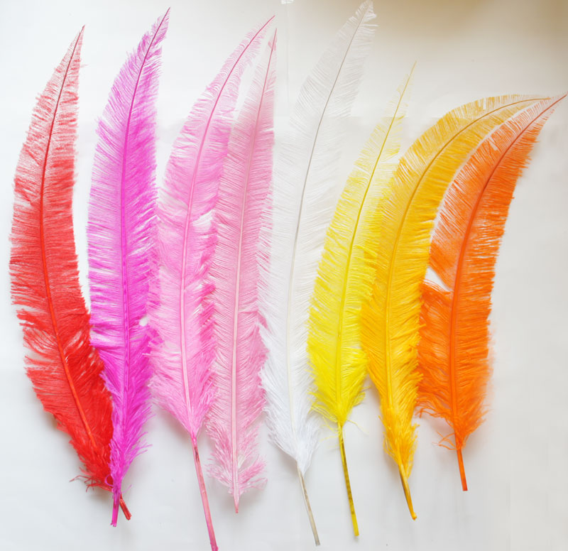高級カットオーストリッチ羽根 Mサイズ（43-50cm）10本セット