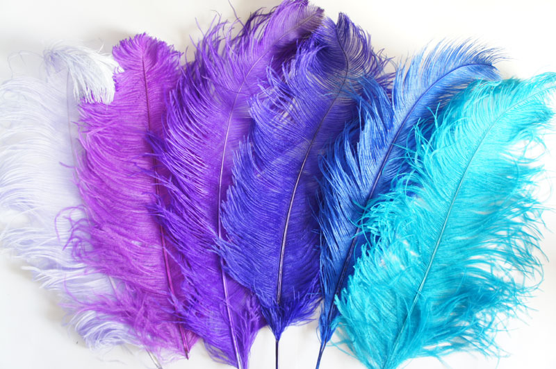 高級オーストリッチ羽根 スペシャル3Lサイズ(65-71cm)1本