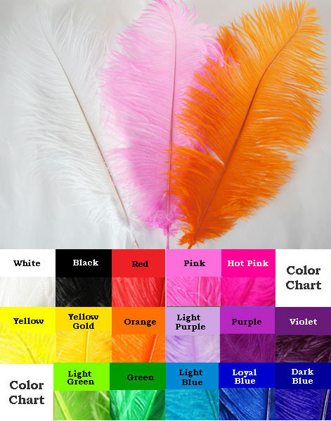 オーストリッチ　フェザー　羽　6本　鳥の羽　オーストリッチフェザー　ウェディング オーストリッチ フェザー 羽 6本 鳥の羽 オーストリッチフェザー