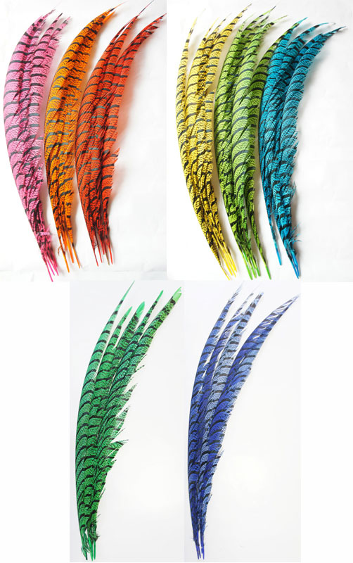 キジ羽（ゼブラ）カラー・4Lサイズ（75－84cm） | キジ羽・羽根