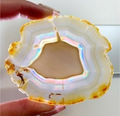 �����ꥹ�������� �ץ졼�� NO.8