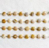 �ե��å��륳����� �إ���������� 10mm