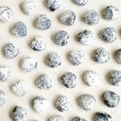 �ǥ�ɥ饤�ȥ��ѡ��� �ϡ��ȷ��롼�� 12mm 2�ĥ��å�