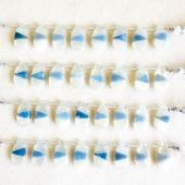 �ۥ磻�ȥࡼ�󥹥ȡ���ߥ֥롼���ѡ��롡�ڥ��������ס�20mm��10mm