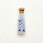 ���졼�ץ������ȡ�������