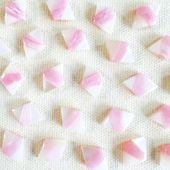 �ۥ磻�ȥࡼ�󥹥ȡ���ߥԥ󥯥��ѡ��� �Ҥ����롼�� 14mm��10mm 2�ĥ��å�