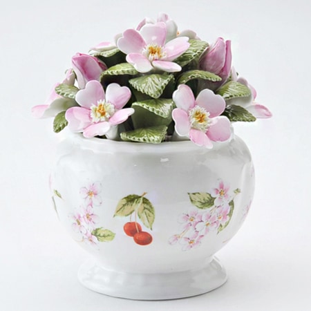 エインズレイ陶花チェリーブロッサム