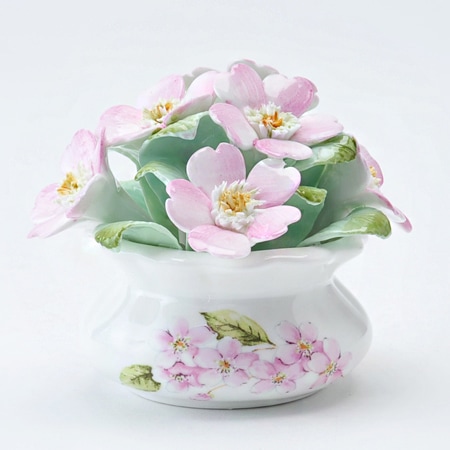 エインズレイ AYNSLEY 陶花 チェリーブロッサム 陶花,チェリーブロッサム | エインズレイ 公式オンラインショップ