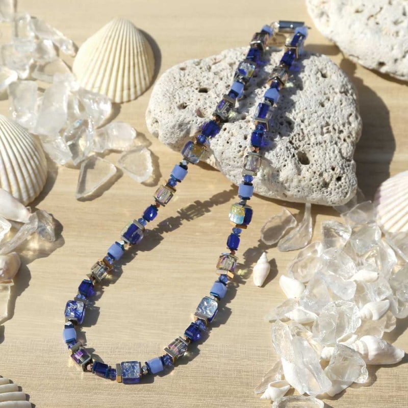 �����٥����ե������������������ͥå��쥹���֥롼���ץ���ۥ���