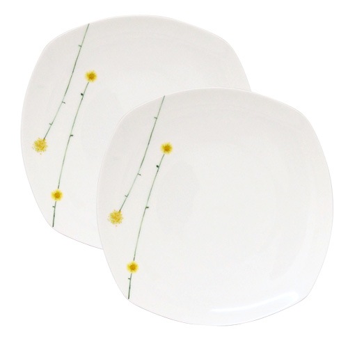 �ǥ������������󡡥ڥ��ǥ����ȥץ졼��