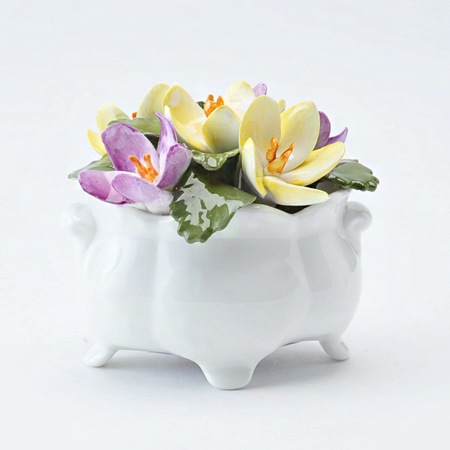 �ڥƥ��ե�����륳�쥯����󡡥����å���