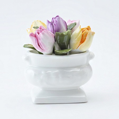 �ڥƥ��ե�����륳�쥯����󡡥��塼��å�