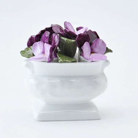 �ڥƥ��ե�����륳�쥯����󡡥Х�����å�