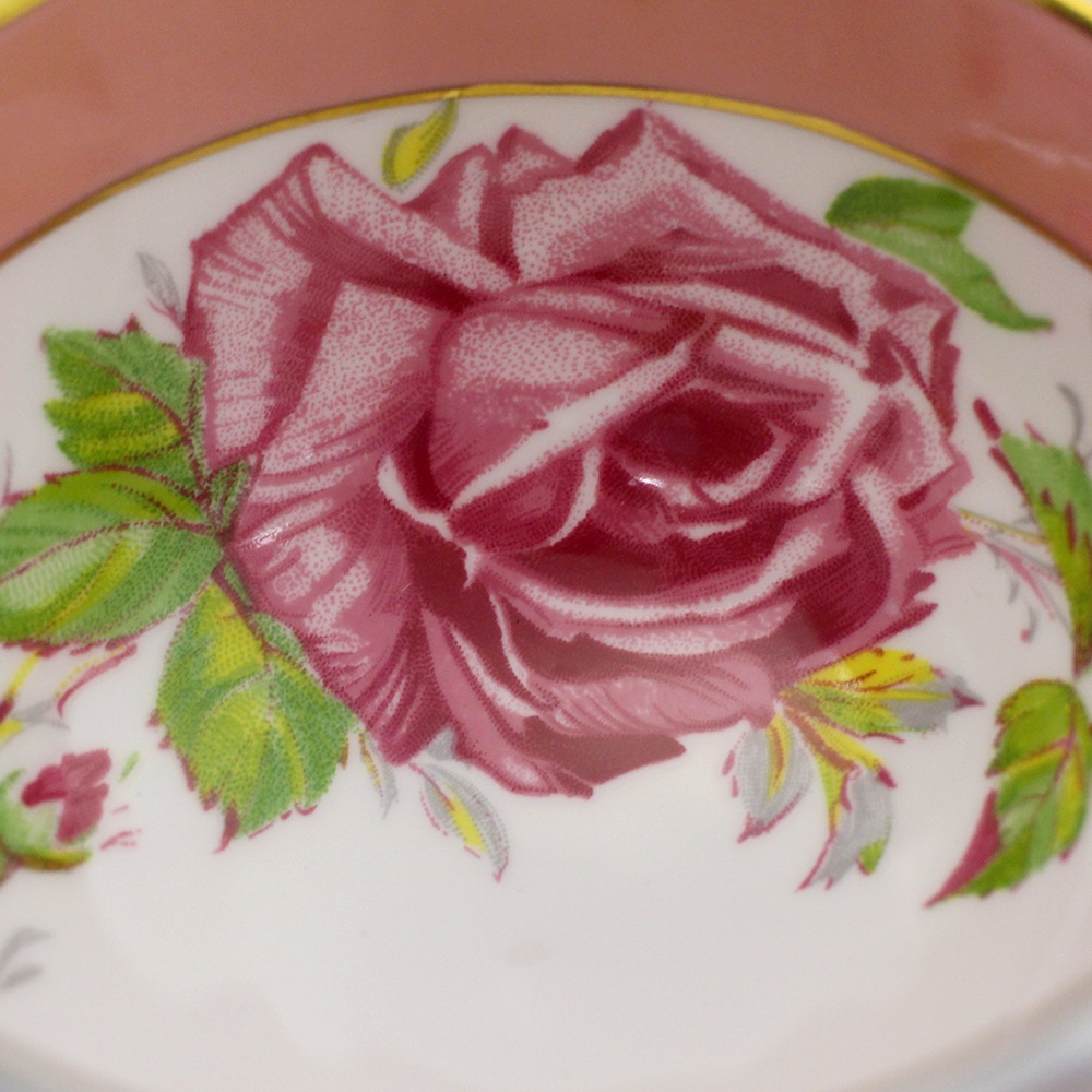 ����������ƥ��ե����ꥢ�ƥ������åס����������ԥ�