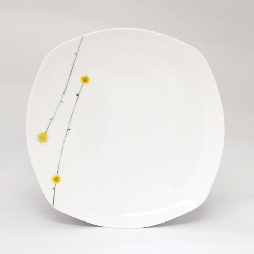 �ǥ������������󡡥ڥ��ǥ����ȥץ졼��