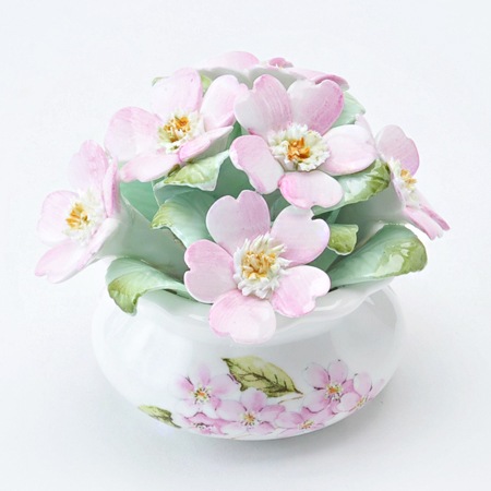 �����꡼�֥��å��ࡡ�ե������ݥå�